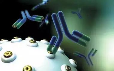 盤點抗體(antibody)具備的那些生物學(xué)的功能