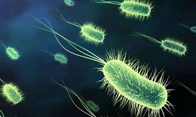 盤點大腸桿菌重組蛋白表達(dá)過程中的一些常見問題