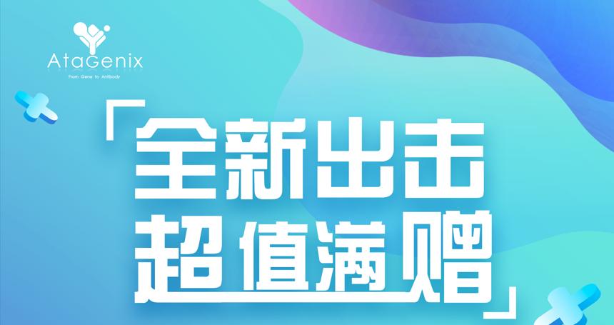 年底重磅 ▏下單即贈禮，滿額就加送~超多實(shí)用禮品等你來拿