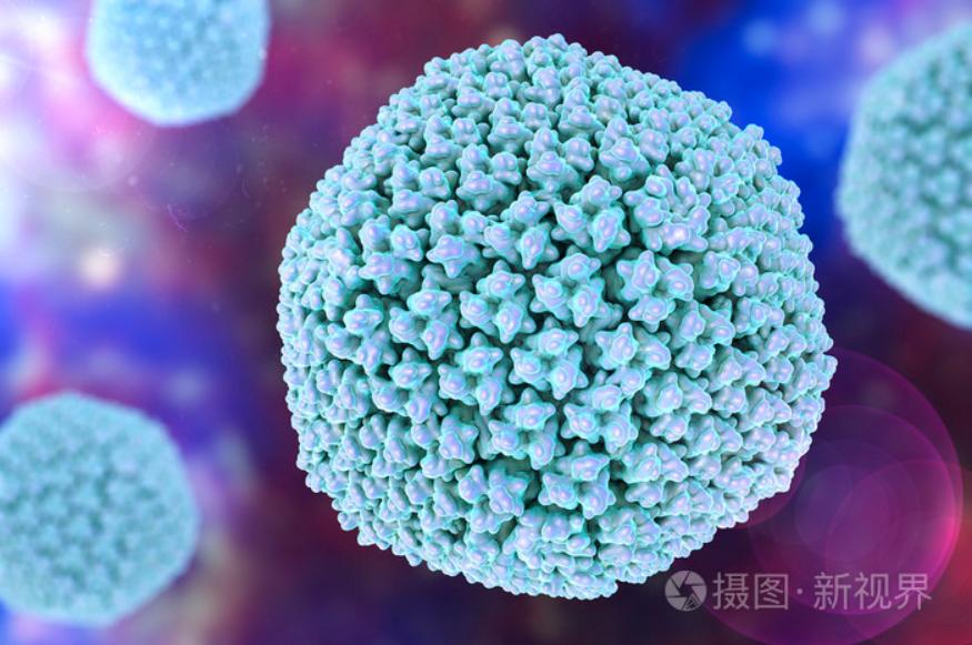 總被要求去內(nèi)毒，究竟是為什么？
