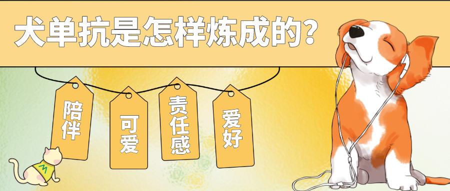 首款犬的單克隆抗體獲批！犬單抗是怎樣煉成的？