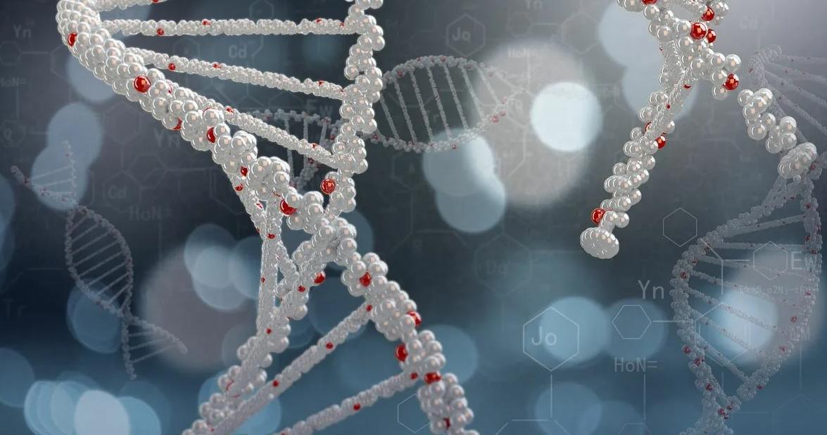 RNA結(jié)合蛋白的新功能及機制研究