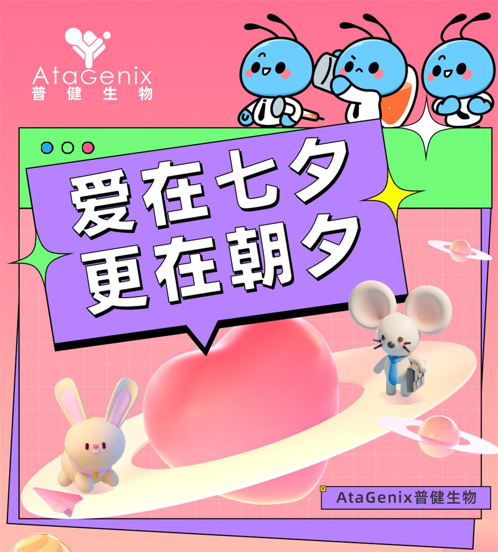 愛在七夕，更在朝夕