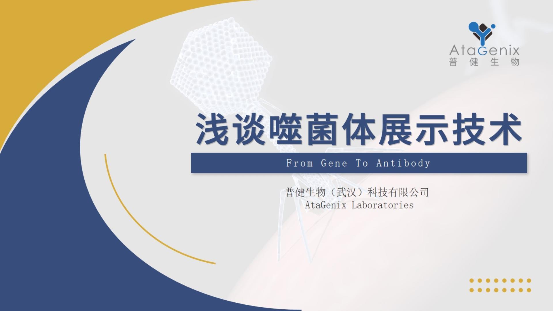 【一篇搞定】噬菌體展示技術與噬菌體展示抗體發(fā)現(xiàn)平臺