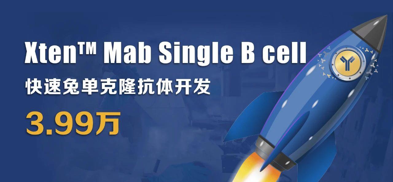利用兔單B細(xì)胞技術(shù)制備高親和力、多種表位的抗獨(dú)特型單克隆抗體